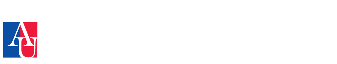 American University Banner