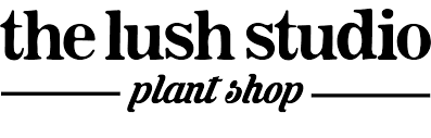 Merchant Logo - The Lush Studio - 10% Discount